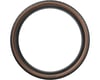 Image 2 for Pirelli Cinturato Gravel M Tubeless Tire (Tan Wall) (700c) (50mm)