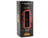 Image 2 for Pirelli P Zero Race Tubeless Road Tire (Black/Red Label) (700c / 622 ISO) (26mm)