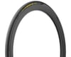 Image 1 for Pirelli P Zero Race Tubeless Road Tire (Black/Yellow Label) (700c / 622 ISO) (28mm)