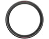 Image 2 for Pirelli P Zero Race Tubeless Road Tire (Black/Red Label) (700c / 622 ISO) (28mm)