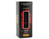 Image 4 for Pirelli P Zero Race Tubeless Road Tire (Black/Red Label) (700c / 622 ISO) (28mm)
