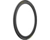 Pirelli P Zero Race Road Tire (Black/Yellow Label) (700c / 622 ISO) (28mm)