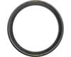 Image 2 for Pirelli P Zero Race Road Tire (Black/Yellow Label) (700c / 622 ISO) (28mm)