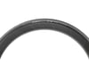 Image 2 for Pirelli P7 Sport Road Tire (Black) (700c / 622 ISO) (26mm)