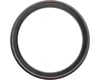Image 2 for Pirelli P Zero Race Road Tire (Black/Red Label) (700c / 622 ISO) (28mm)