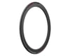 Image 1 for Pirelli P Zero Race TLR Tubeless Road Tire (Red Label) (700c) (26mm)