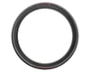 Image 2 for Pirelli P Zero Race TLR Tubeless Road Tire (Red Label) (700c) (26mm)