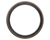 Image 2 for Pirelli P Zero Race TLR Tubeless Road Tire (Classic Tan) (700c) (30mm)