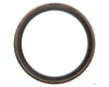 Image 2 for Pirelli P Zero Race TLR RS Road Tire (Classic Tan) (700c) (32mm)