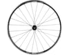 Image 3 for Quality Wheels DT 350/DT R460 Front Wheel (700c) (QR x 100mm)