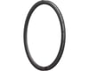 Related: Reserve Wheels 37 Road Rim (Carbon) (700c) (Disc Brake) (24H)