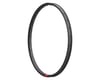 Image 1 for Reserve Wheels 30 DH Mountain Rim (Carbon) (29") (32H)