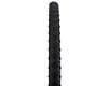 Image 1 for Ritchey Comp SpeedMax Beta Mountain Tire (Black) (26" / 559 ISO) (2.0")