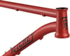 Image 6 for Ritchey P-29er Mountain Frameset (Dirt in Blood) (S)