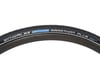 Image 1 for Schwalbe Marathon Plus Tire (Black) (700c / 622 ISO) (38mm)