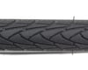 Image 3 for Schwalbe Marathon Plus Tire (Black) (700c / 622 ISO) (38mm)