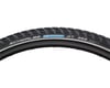 Image 1 for Schwalbe Marathon GT 365 FourSeason Tire (Black) (700c) (35mm)