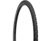 Image 1 for Schwalbe Marathon Winter Plus Steel Studded Tire (Black) (700c / 622 ISO) (35mm)
