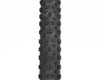 Image 2 for Schwalbe Hans Dampf EVO Tubeless Mountain Tire (Black)