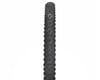 Image 3 for Schwalbe Hans Dampf EVO Tubeless Mountain Tire (Black)