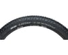Image 1 for Schwalbe Rocket Ron HS438 Tubeless Mountain Tire (Black)