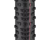 Image 2 for Schwalbe Racing Ralph HS490 Tubeless Mountain Tire (Black)