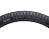 Image 3 for Schwalbe Racing Ray HS489 Tubeless Mountain Tire (Black) (29") (2.25")