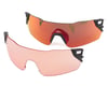 Image 3 for Smith Attack Sunglasses (Cinelli)