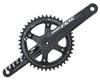 Image 1 for SRAM Apex 1 X-Sync Crankset (Black) (1 x 10/11 Speed) (GXP Spindle) (172.5mm) (42T)