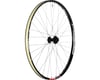 Image 3 for Stans Arch MK3 Disc Front Wheel (Black) (15 x 110mm (Boost)) (27.5" / 584 ISO)