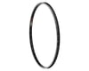 Image 2 for Sun Ringle Rhyno Lite Disc Rim (Black/Silver) (40H) (Presta) (29")