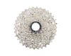 Image 2 for Surly Stainless Steel Track Cog Lockring 1.29" x 24 tpi Left-hand Thread