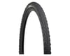 Related: Teravail Rutland Tubeless Gravel Tire (Black) (700c) (42mm)