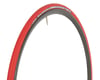 Image 1 for Vittoria Zaffiro Pro Home Trainer Tire (Red) (Folding) (700 x 23)