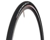 Image 1 for Vittoria Corsa Speed G+ TLR (Tubeless Clincher)