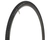 Image 1 for Vittoria Randonneur Classic Tire (Black) (700c / 622 ISO) (28mm)