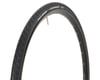Image 1 for Vittoria Randonneur Classic Tire (Black) (700c / 622 ISO) (32mm)