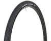 Image 1 for Vittoria Randonneur Classic Tire (Black) (700c / 622 ISO) (35mm)