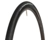 Image 2 for Vittoria Rubino Pro IV G+ Road Tire (Folding) (2 Pack) (No Packaging)