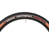 Image 4 for Vittoria Terreno Dry TLR Tubeless Mountain Tire (Tan Wall) (29" / 622 ISO) (2.1")