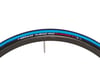 Image 3 for Vittoria Rubino Pro Tube-Type Road Tire (Black/Blue) (700c) (25mm)