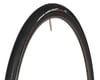 Image 1 for Vittoria Rubino Pro TLR Tubeless Road Tire (Black) (700c) (30mm)