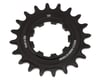 Image 1 for Wheels Manufacturing SOLO-XD Single Speed Cog (Black) (20T)
