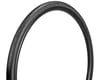 Image 1 for Wolfpack Race II Tubeless Road Tire (Black) (700c / 622 ISO) (28mm)