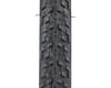 Image 3 for WTB Tire Upgrade for Ozark Trail G.1 Explorer Gravel Bike (700c x 40mm)