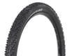 Image 1 for WTB Trail Blazer Dual DNA Fast Rolling Tire