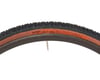 Image 4 for WTB Resolute Tubeless Gravel Tire (Tan Wall) (700c) (42mm)