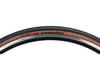 Image 2 for WTB Exposure Tubeless All-Road Tire (Tan Wall) (700c / 622 ISO) (30mm) (Road TCS)