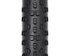 Image 2 for WTB Sendero Road Plus TCS Tire (Black) (650b) (47mm)