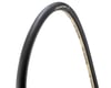 Image 1 for Zipp Tangente SL Speed Tubular Tire (Black)